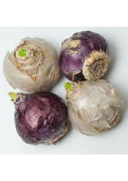 5 Adet Mavi Renk Sümbül Soğanı fiyatları