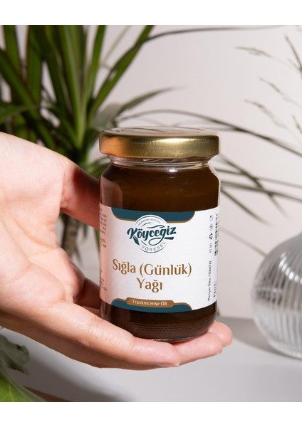 Sığla Günlük Yağı 100 G Cam Kavanoz