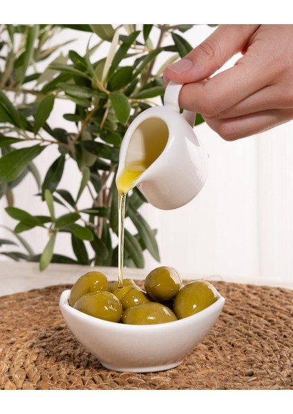 Naturel Sızma Zeytinyağı 1 Lt Teneke modelleri