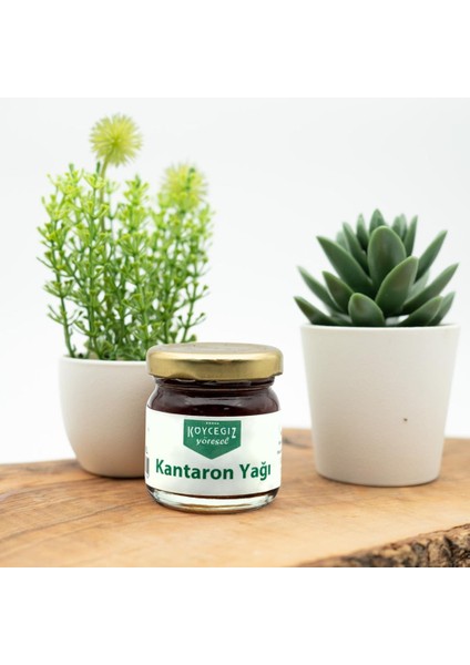 Kantaron Yağı 33 Ml