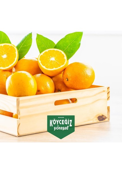 Köyceğiz Portakalı 4 Kg