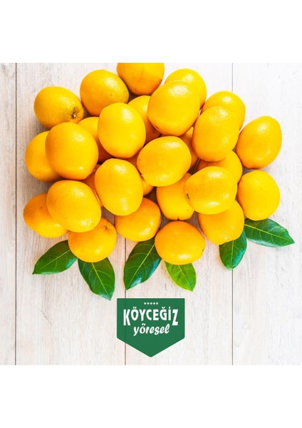 Köyceğiz Portakalı 4 Kg
