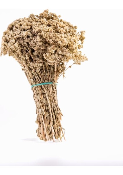 Kekik Çayı 40 G modelleri