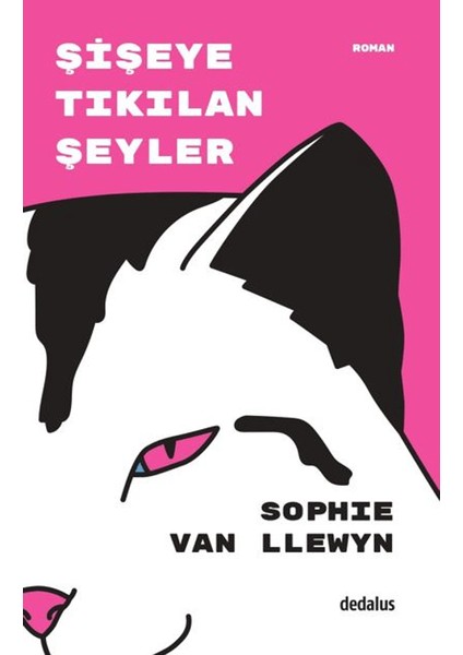 Şişeye Tıkılan Şeyler - Sophie van Llewyn
