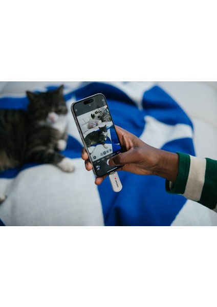 64GB Plectra Usb-C Beyaz USB Bellek (30228) indirimleri