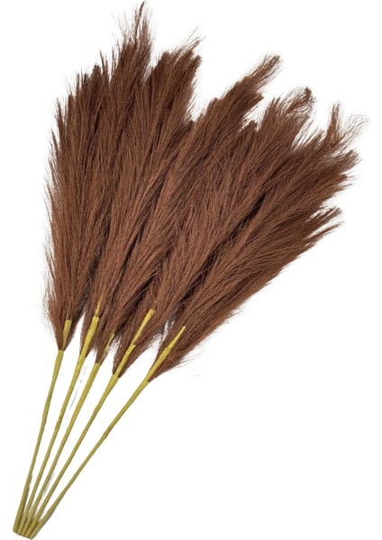 Kahve Pampas Tüy Demeti 5'li