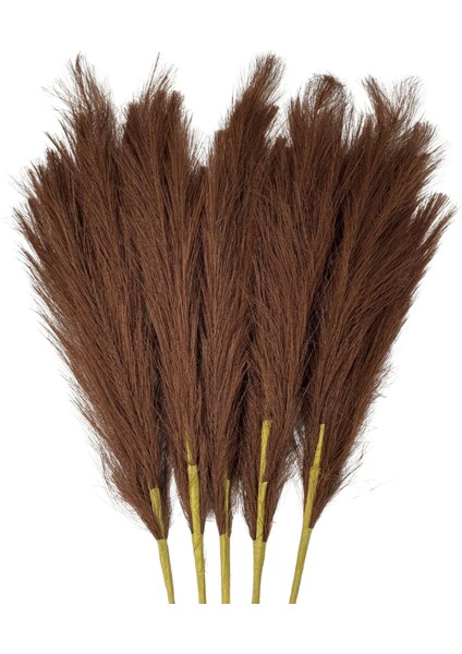 Kahve Pampas Tüy Demeti 5'li fiyatları