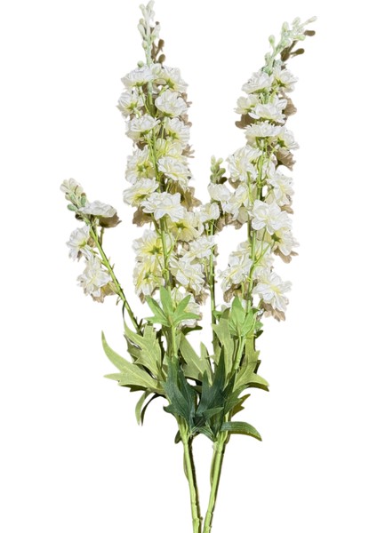 Beyaz Delfium Demeti 2'li