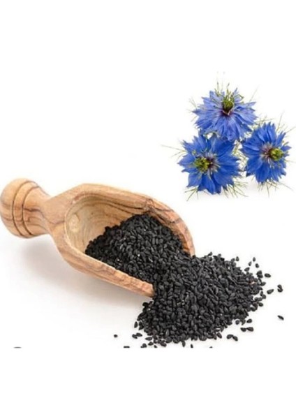 Tekno Trust Kavanoz Çörek Otu Kremi 2 Adet 100 ml fiyatları