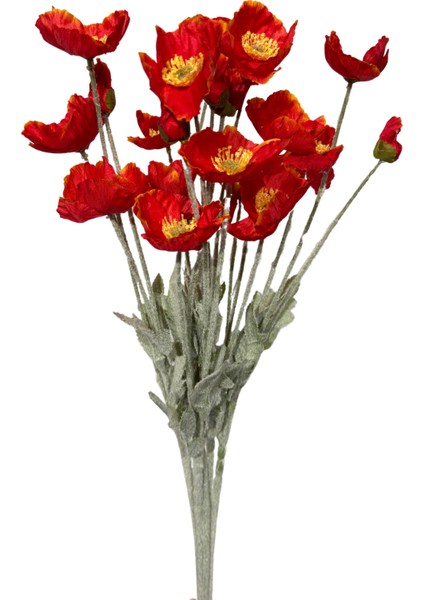 Kırmızı Gelincik Demeti 5'li