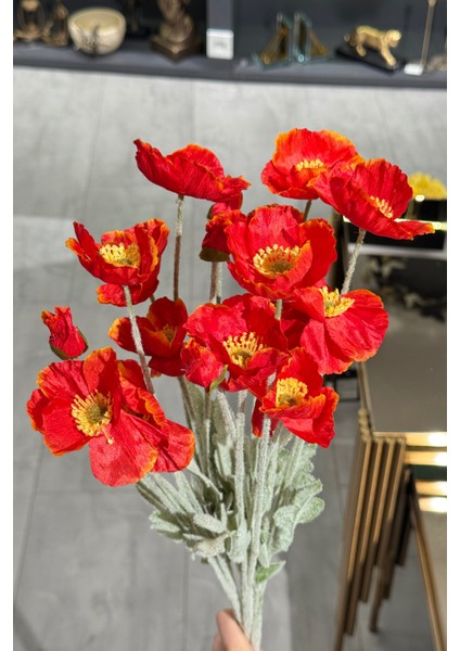 Kırmızı Gelincik Demeti 5'li modelleri