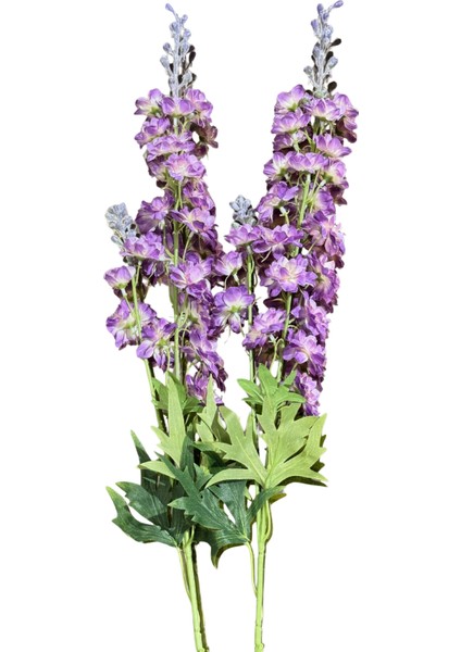 Mor Delfium Demeti 2'li