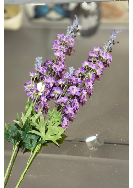 Mor Delfium Demeti 2'li fiyatları