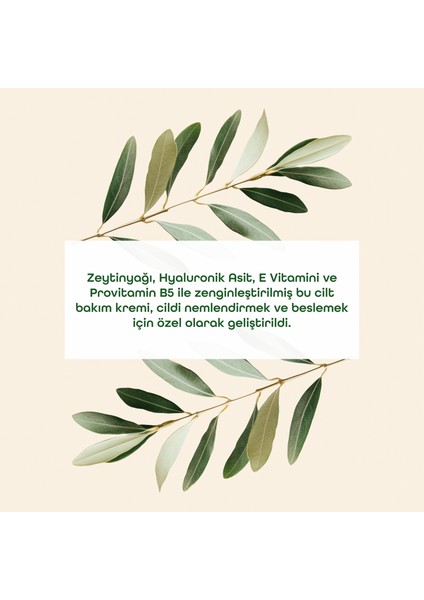 Zeytinyağlı Cilt Bakım Kremi modelleri