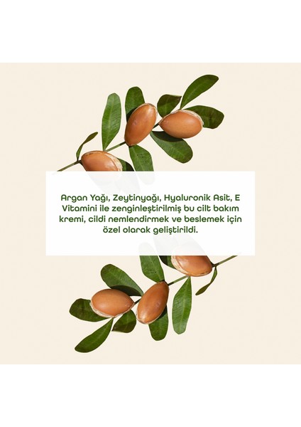Argan Yağlı Cilt Bakım Kremi modelleri