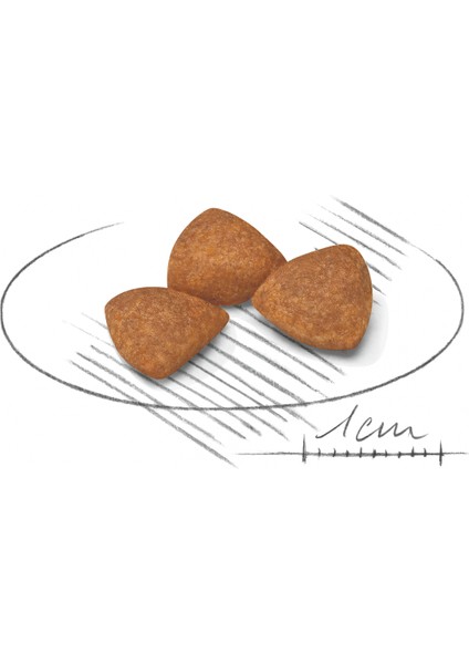 X-Small Ageing 12 Yaş Üzeri Yaşlı Köpek Maması 1.5 Kg