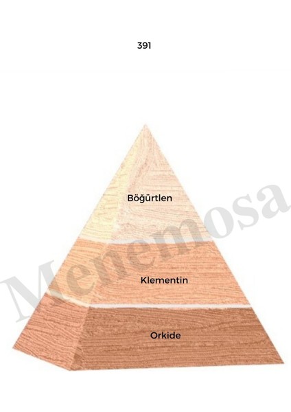 391 + 391 Kadın Parfüm Edp Floral - MNMS3912 fiyatları