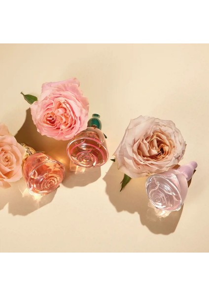 Volare Tender Kadın Parfüm - Edp - 50 ml - 46052