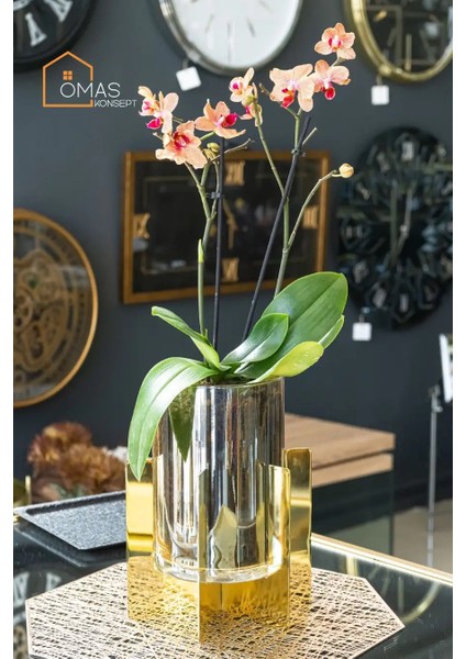 Premium Gold Metal Ayaklı Gold Renkli Cam Vazo,dekoratif Metal Ayaklı Gold Cam Vazo,saksı fırsatları