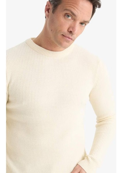 Erkek Kazak C8814AX/ER139