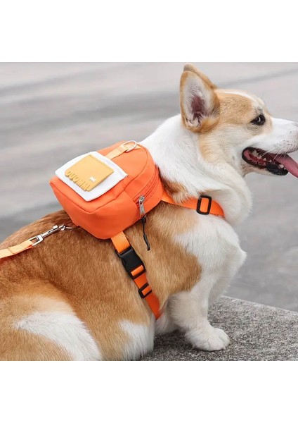 Kedi ve Köpek Için Ayarlanabilir Sırt Çantalı Tasma Seti fiyatları