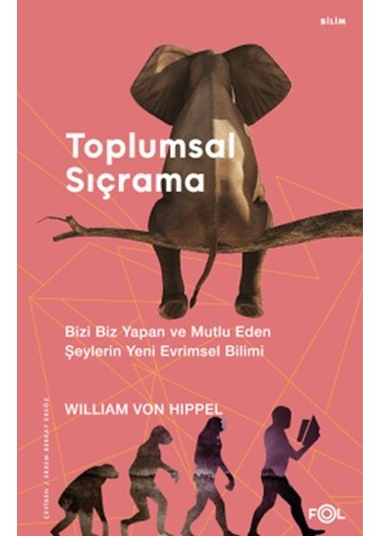 Toplumsal Sıçrama