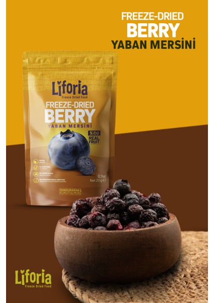 Freeze Dried Tane Yaban Mersini- Dondurularak Kurutulmuş Meyve-Freeze Dry Kuru MEYVE 20GR modelleri