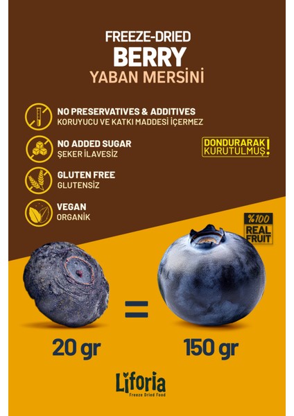 Freeze Dried Tane Yaban Mersini- Dondurularak Kurutulmuş Meyve-Freeze Dry Kuru MEYVE 20GR fırsatları