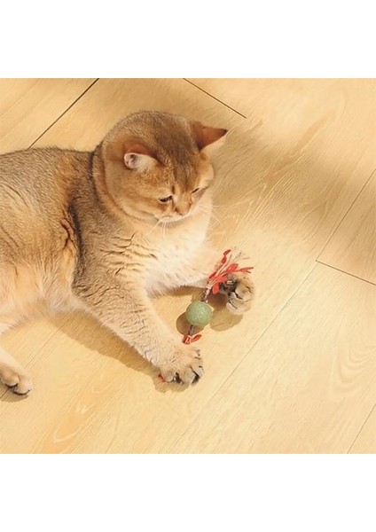 M-Pets Charmy Brancy Catnipli Kedi Oyuncağı Kırmızı fırsatları