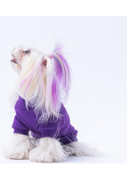 Mor Ice Cream Dondurma Nakışlı Esnek Kedi Köpek Sweat- Kedi Köpek Kıyafeti indirimleri