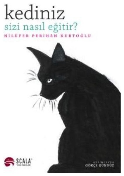 Kediniz Sizi Nasıl Eğitir