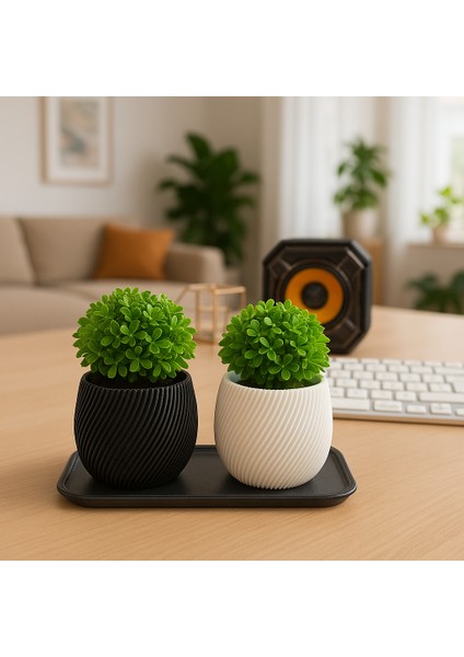 2'li Dekoratif Çizgili Saksı