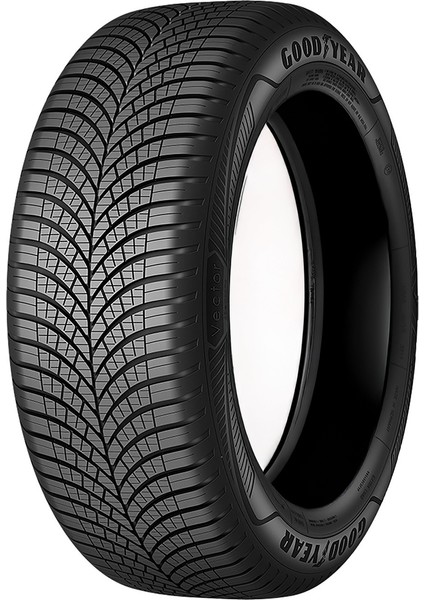 245/40R19 98Y Xl Vector 4 Seasons G3 Üretim 2025 Oto 4 Mevsim Lastiği