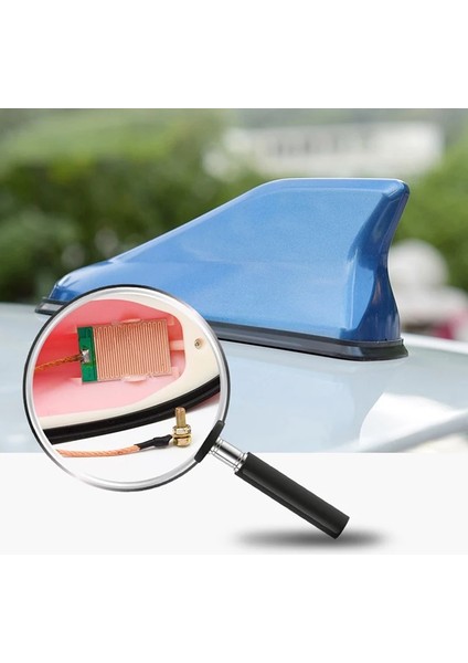 Yeni Tip Elektrikli Balık Sırtı Köpekbalığı Balina Anten Siyah Tavan Anteni