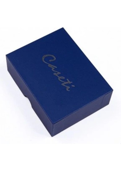 Caseti Çakmak CA567 fiyatları