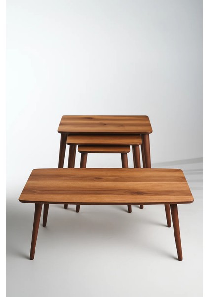 Istanbul Orta Sehpa ve 3'lü Zigon Sehpa Seti %100 Mdf Urartu