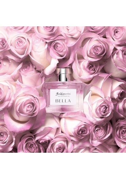 Bella Absolu Edp 50 ml Kadın Parfümü + Shower Gel 200 ml indirimleri