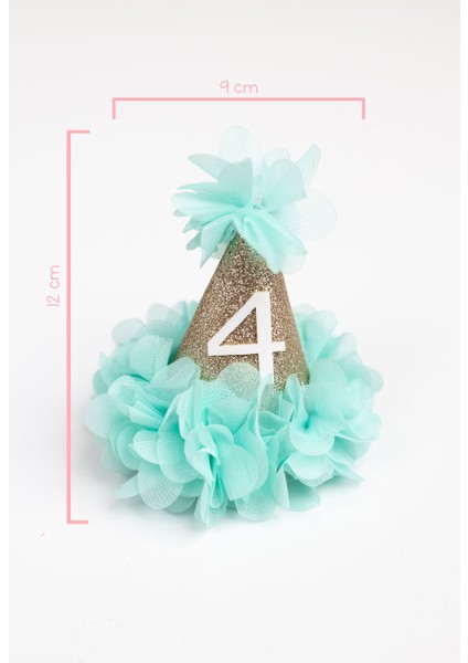 Mint 4 Yaş Huni Doğum Günü Klips Toka indirimleri