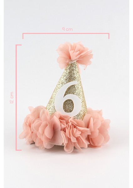 Pudra 6 Yaş Huni Doğum Günü Klips Toka modelleri