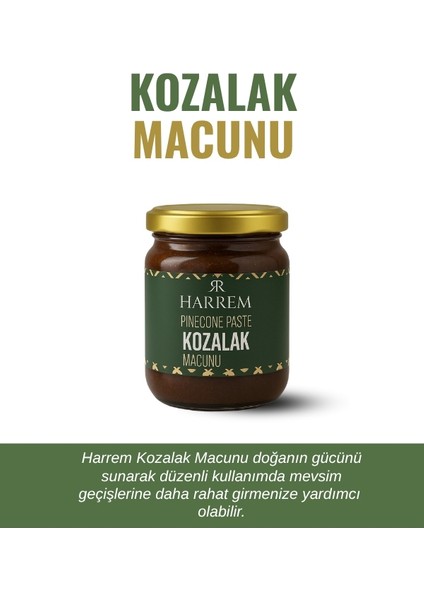 Kozalak Macunu 240 gr fiyatları