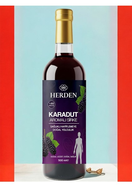 Karadut Aromalı Sirke 500 ml Mega Şişe fiyatları