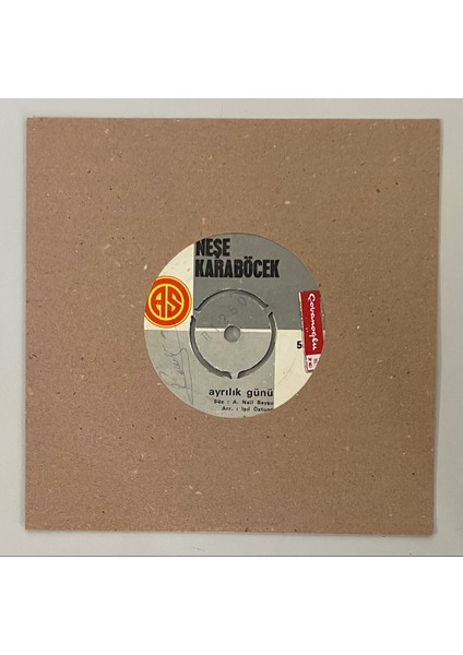 Neşe Karaböcek Aşık Olamıyorum - Ayrılık Günü 45 Lik Plak (1972 Orijinal Dönem Baskı Plak)