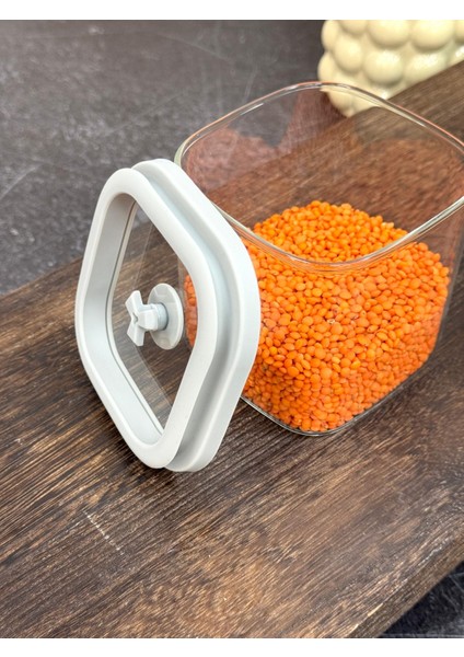 Snug Kapaklı Saklama Kabı 800 ml fiyatları