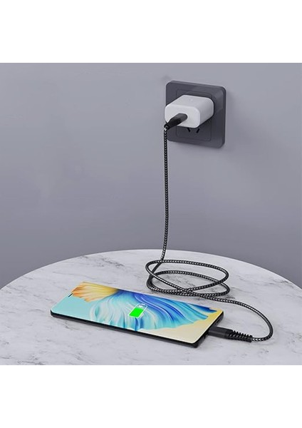 TN-DC19 Ip Örgü 100 cm Type-C To Type-C Şarj ve Data Kablosu fiyatları