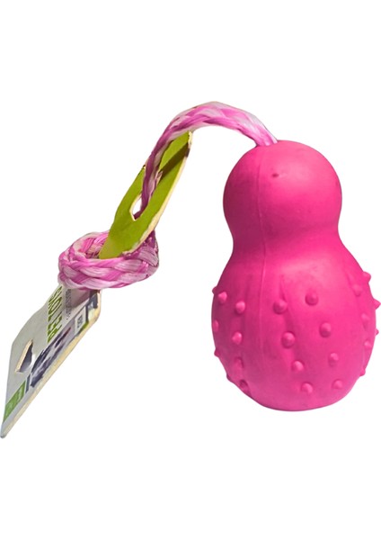 Pembe Dikenli Kauçuk Köpek Oyuncağı fiyatları