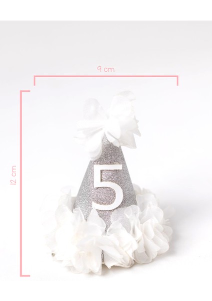 Gümüş 5 Yaş Huni Doğum Günü Klips Toka