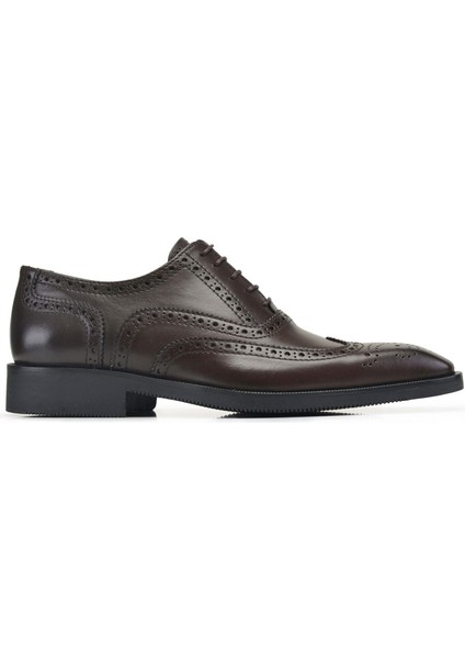 Kahverengi Brogue Termo Erkek Kışlık Ayakkabı fiyatları