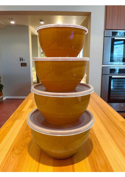 4’lü Kapaklı Plastik Saklama Kabı Seti – Mutfak Gıda Saklama Kutusu modelleri