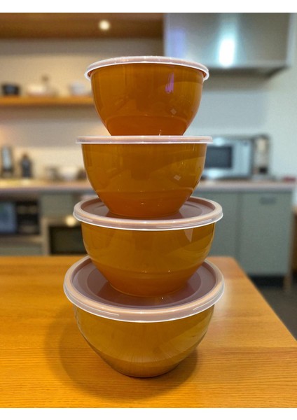 4’lü Kapaklı Plastik Saklama Kabı Seti – Mutfak Gıda Saklama Kutusu