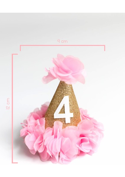 Pembe 4 Yaş Huni Doğum Günü Klips Toka indirimleri